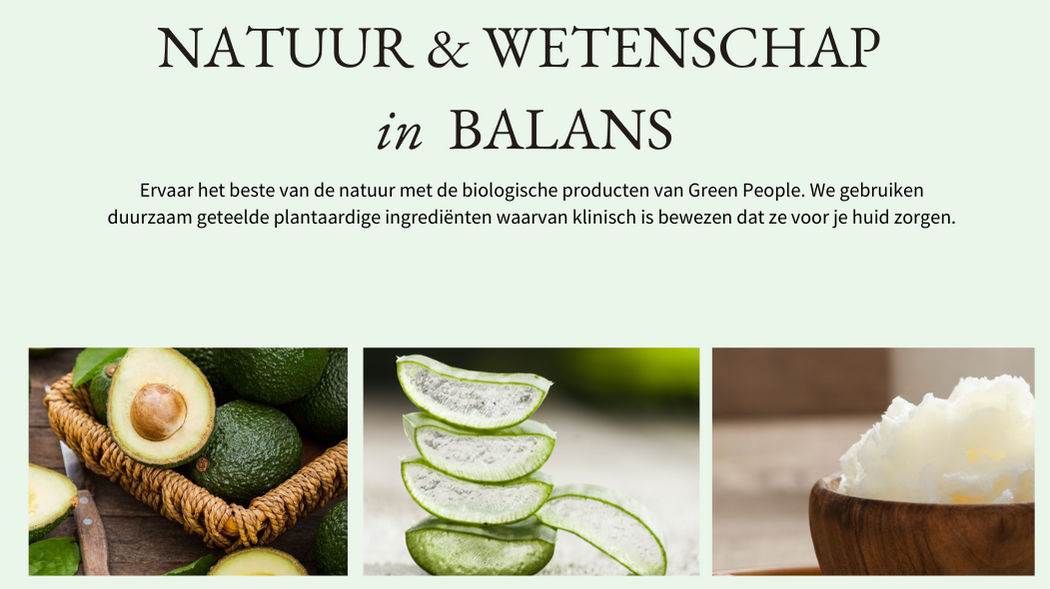 GP - homepage - blokken- 1