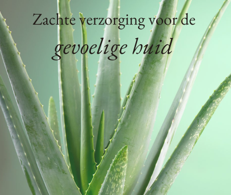 GP - homepage - blokken - 2